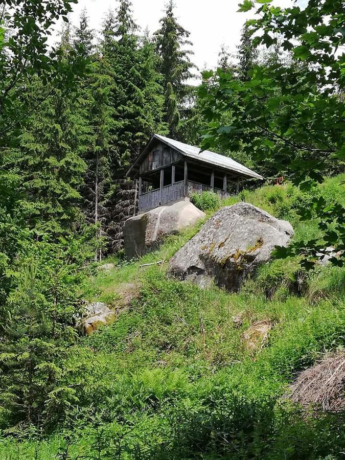 Complex Pele Hotel Zmeitsa Exterior photo